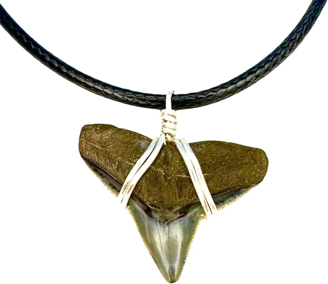 Classic Shark Tooth Necklace, Outer Banks Style, Real Fossil Scuba Diving Florida, JJ Maybank, Sharks Teeth Jewelry, Handmade Black Silver