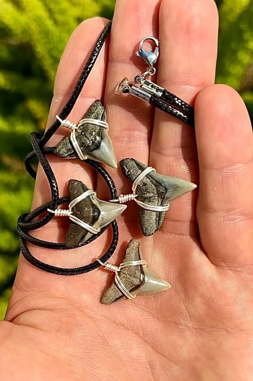 Classic Shark Tooth Necklace, Outer Banks Style, Real Fossil Scuba Diving Florida, JJ Maybank, Sharks Teeth Jewelry, Handmade Black Silver