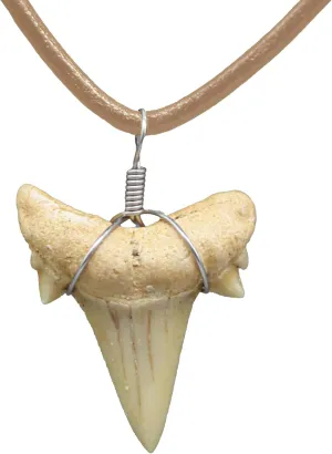 Natural Shark Tooth Necklace for Men, Genuine Fossil Shark Teeth, Cool Sharktooth Beach Necklaces for Women, Beachy Surfer Choker Jewelry