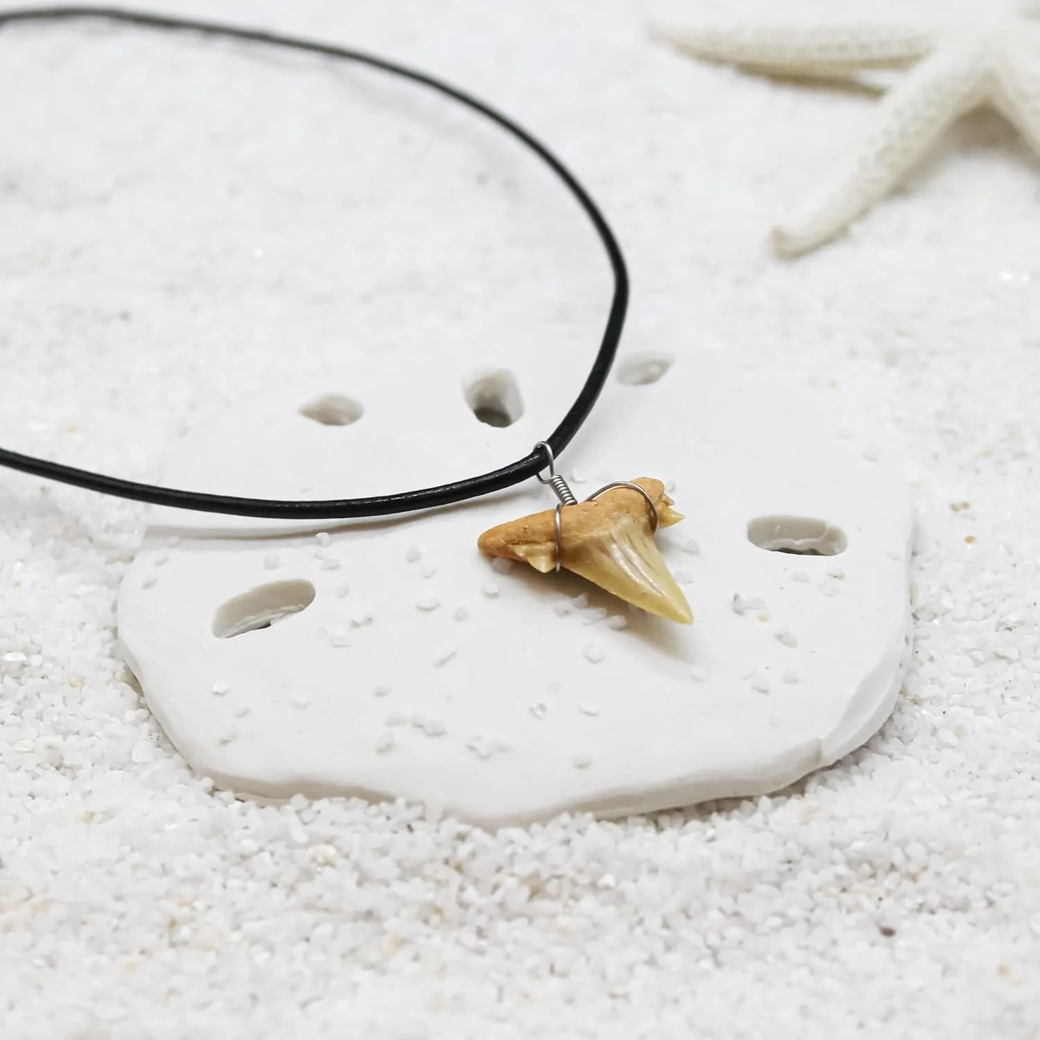 Natural Shark Tooth Necklace for Men, Genuine Fossil Shark Teeth, Cool Sharktooth Beach Necklaces for Women, Beachy Surfer Choker Jewelry