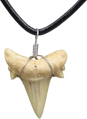 Natural Shark Tooth Necklace for Men, Genuine Fossil Shark Teeth, Cool Sharktooth Beach Necklaces for Women, Beachy Surfer Choker Jewelry