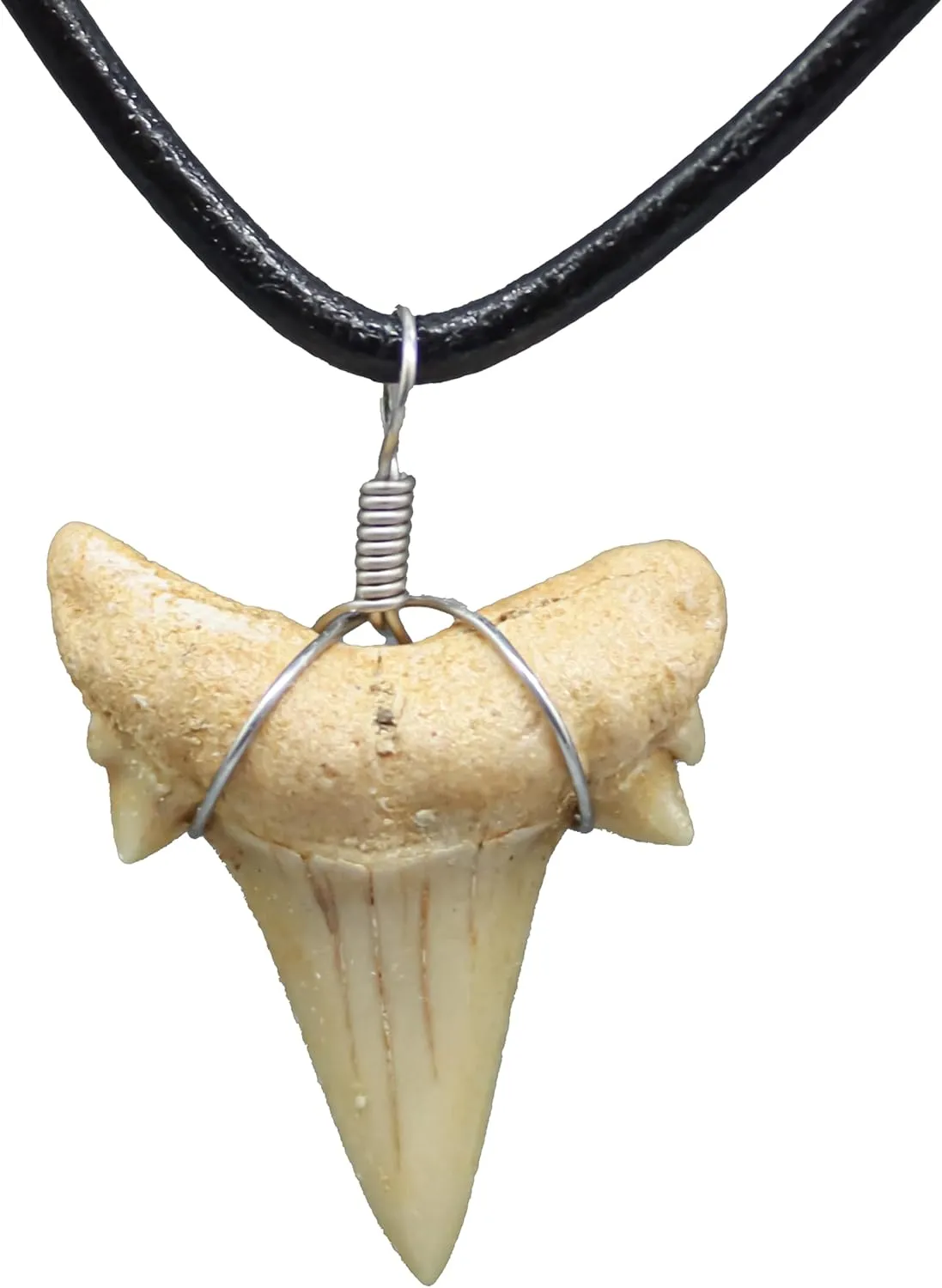 Natural Shark Tooth Necklace for Men, Genuine Fossil Shark Teeth, Cool Sharktooth Beach Necklaces for Women, Beachy Surfer Choker Jewelry