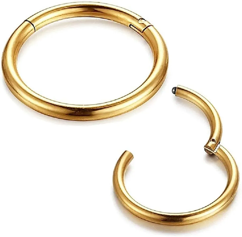 NewZenro 8Pcs Surgical Stainless Steel 16G Sleeper Cartilage Daith Tiny Small Hoop Earrings Mini Septum Hinged Clicker Nose Ring for Women Men Helix Tragus Piercings 8mm 10mm Set Silver