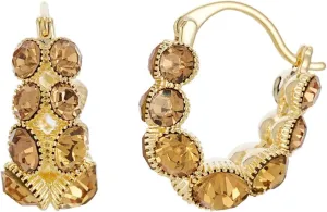 Slyph Gold Hoop Earrings for Women, Trendy 14K Gold Plated Crystal Hoop Earring Lightweight Diamond Fashion Earring Jewelry Gifts